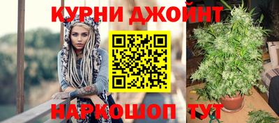ПСИЛОЦИБИНОВЫЕ ГРИБЫ Аргун