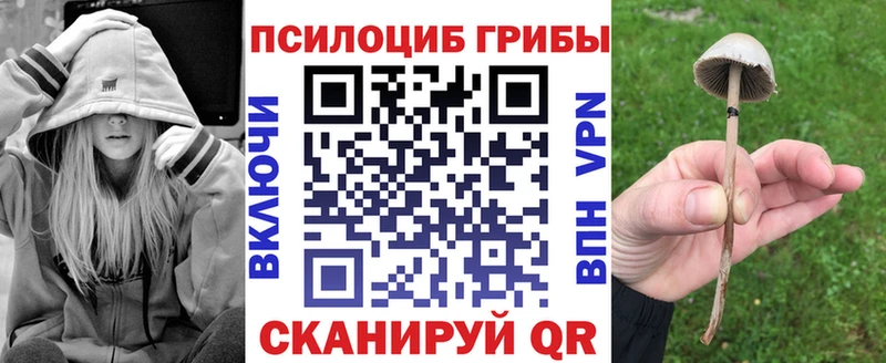 Псилоцибиновые грибы Cubensis  Баксан 