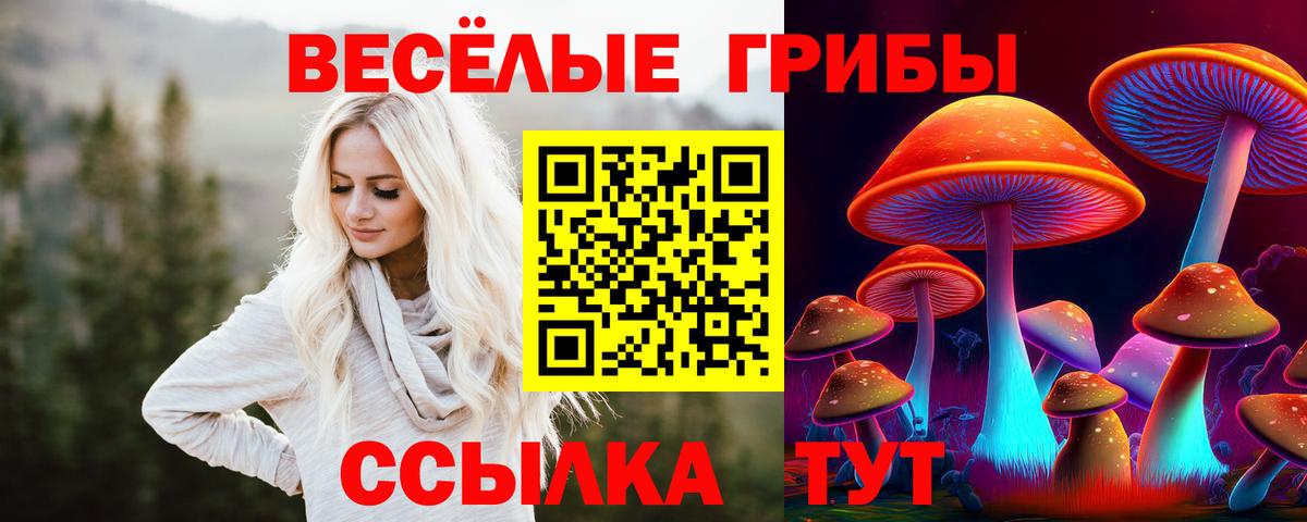 Галлюциногенные грибы Psilocybe  Псилоцибиновые грибы Psilocybine cubensis  Вход с VPN  Баксан 